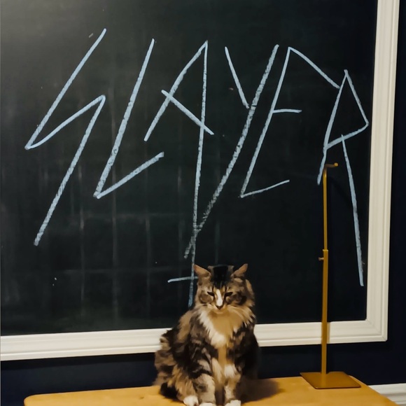 Meet your Posher, Megan and CATS!! Haha cats 🐈⬛ 🐾 🐈 - Picture 1 of 7